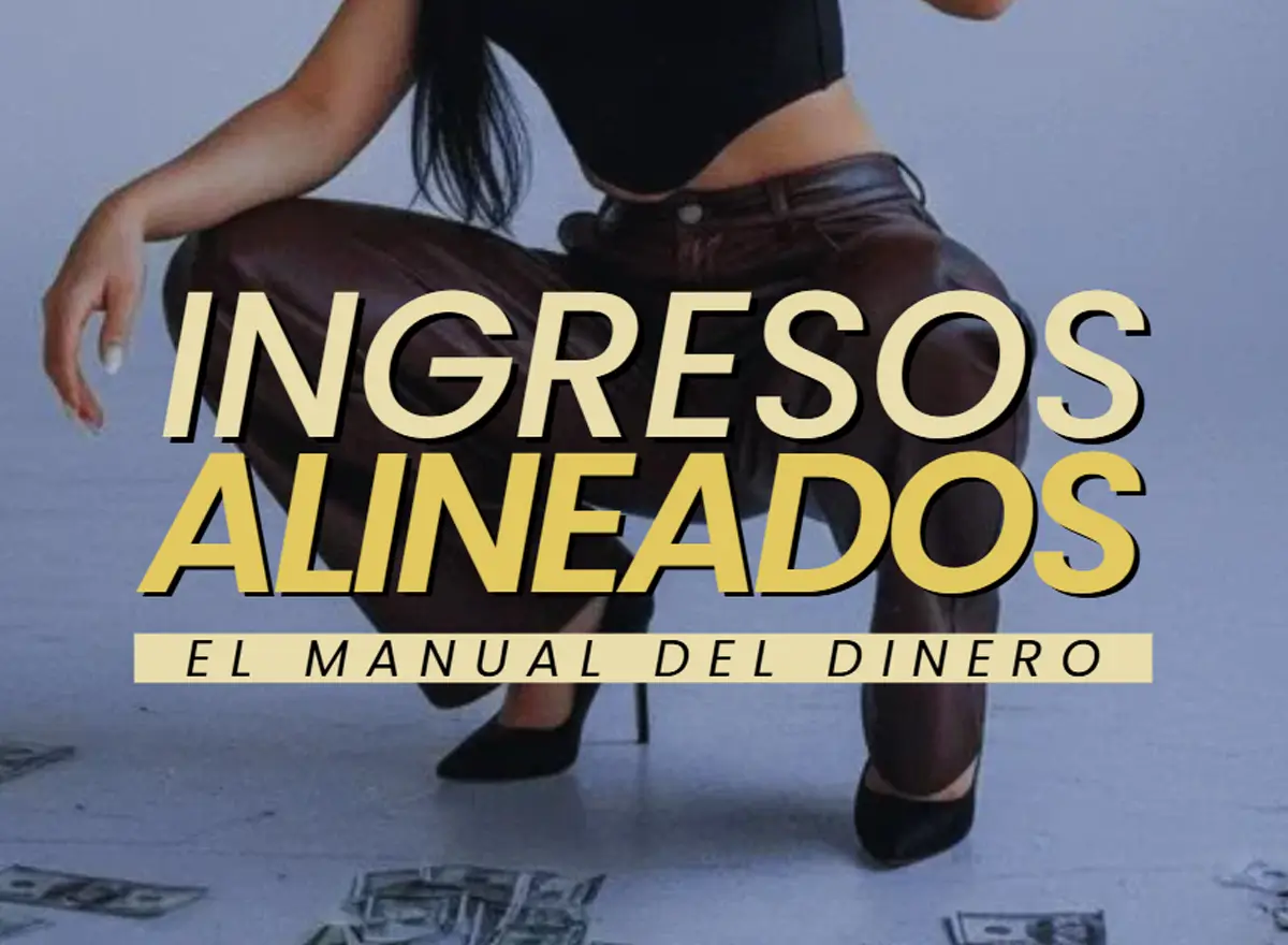 Manual del Dinero